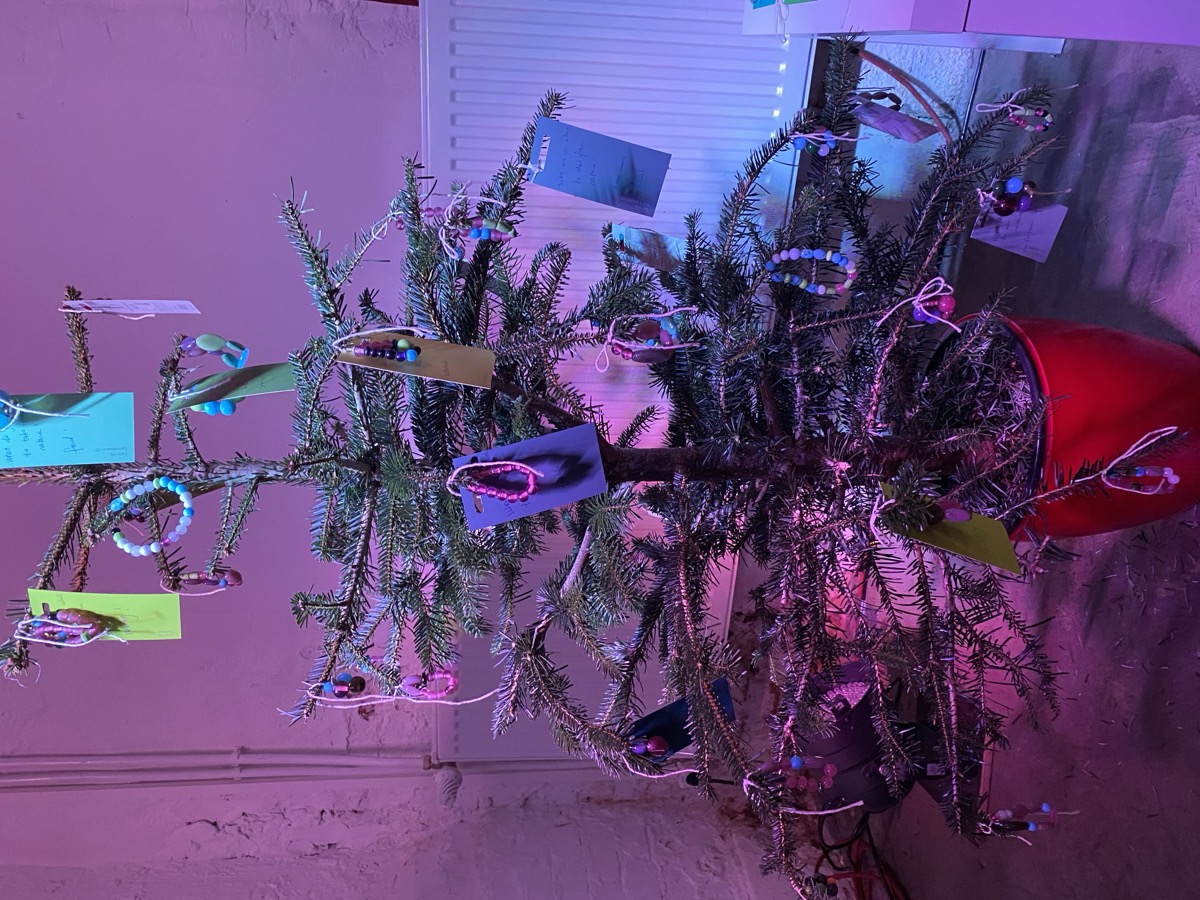 艺术装置《自然之下》